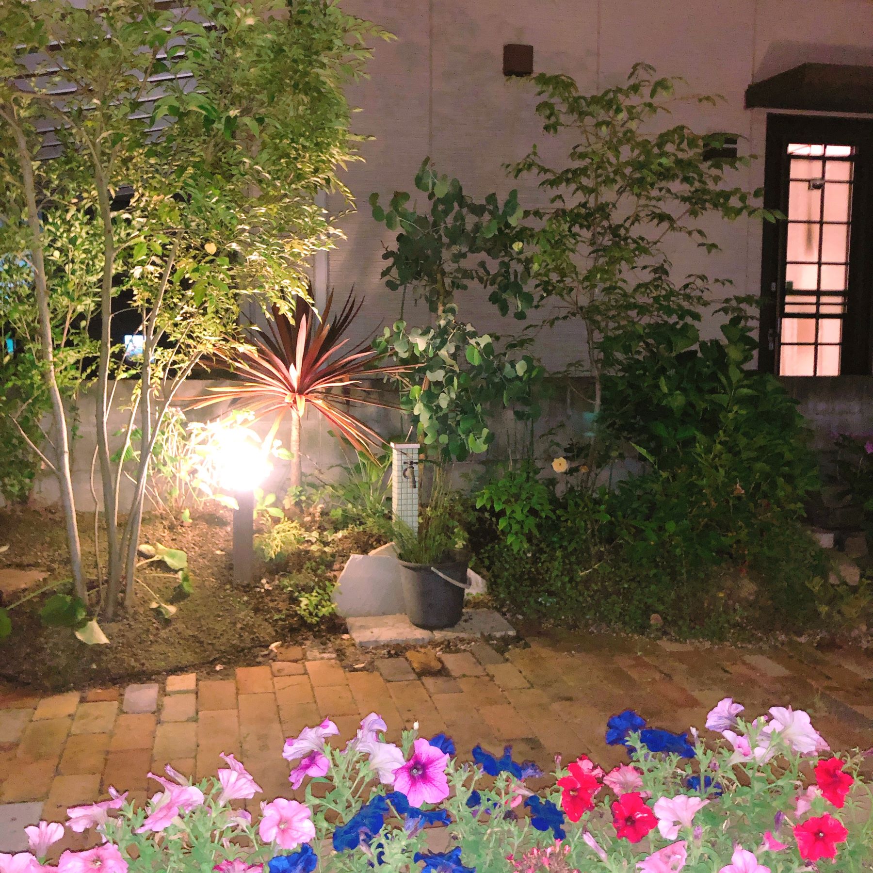 夜のお庭　isle-garden